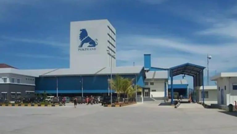 Lowongan Kerja Terbaru PT Charoen Pokphand Indonesia Tbk (Food Division) Cikande Lowongan Kerja Terbaru PT Charoen Pokphand Indonesia Tbk (Food Division) Cikande