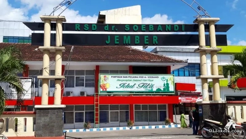 Lowongan Kerja Jember Tenaga BLUD Rumah Sakit Daerah dr. Soebandi Jember 2026 Lowongan Kerja Jember Tenaga BLUD Rumah Sakit Daerah Dr. Soebandi Jember 2026